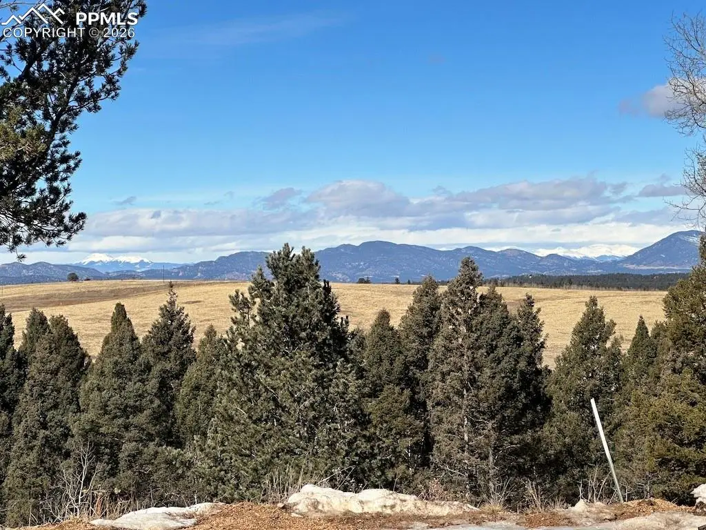 4600 Elk Valley Road, Divide, CO 80814 - #1