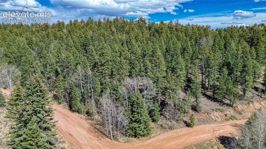 3075 N Mountain Estates Road, Florissant, CO 80816 - #2