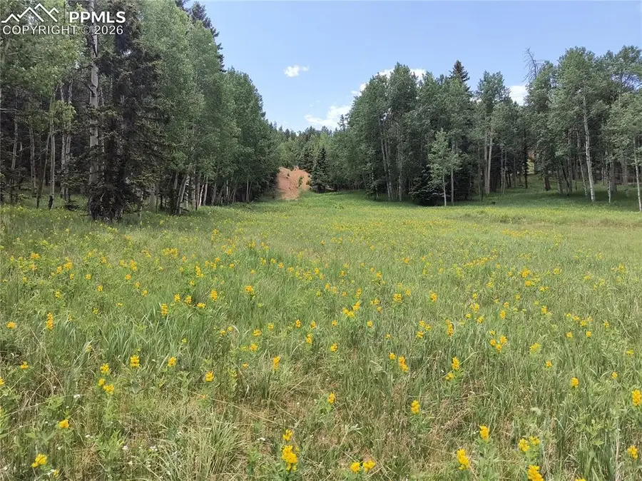 Will Scarlet Drive, Divide, CO 80814 - #3