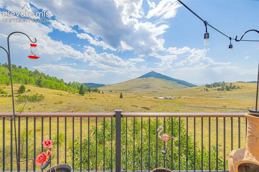 1528 County Road 1, Cripple Creek, CO 80813 - #3
