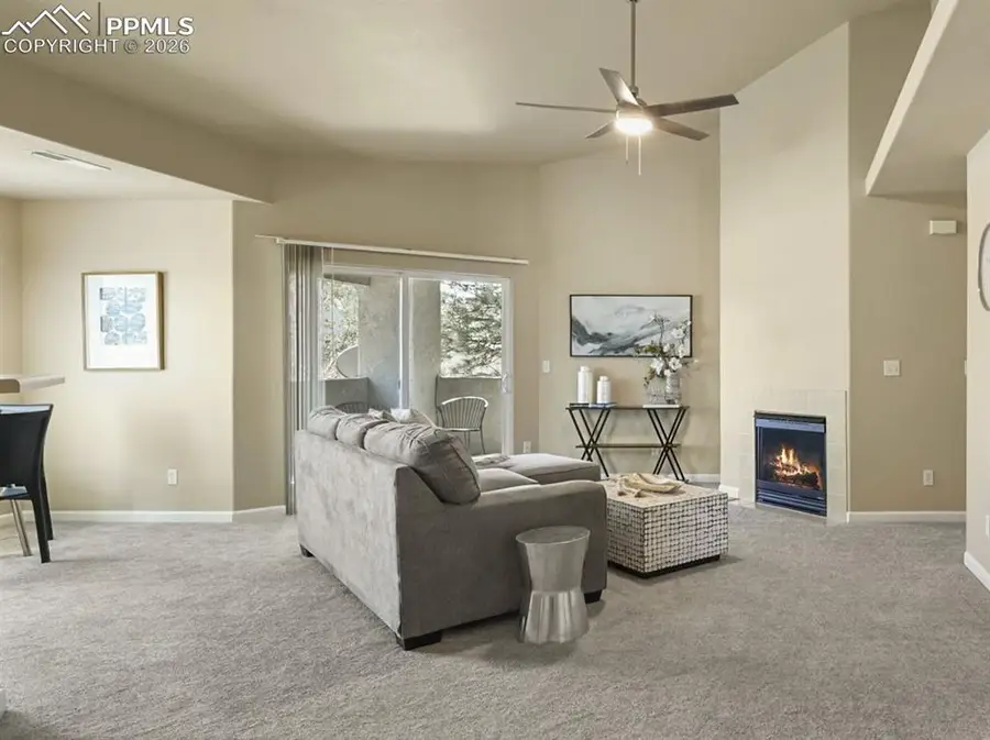 7045 Ash Creek Heights #202, Colorado Springs, CO 80922 - #3