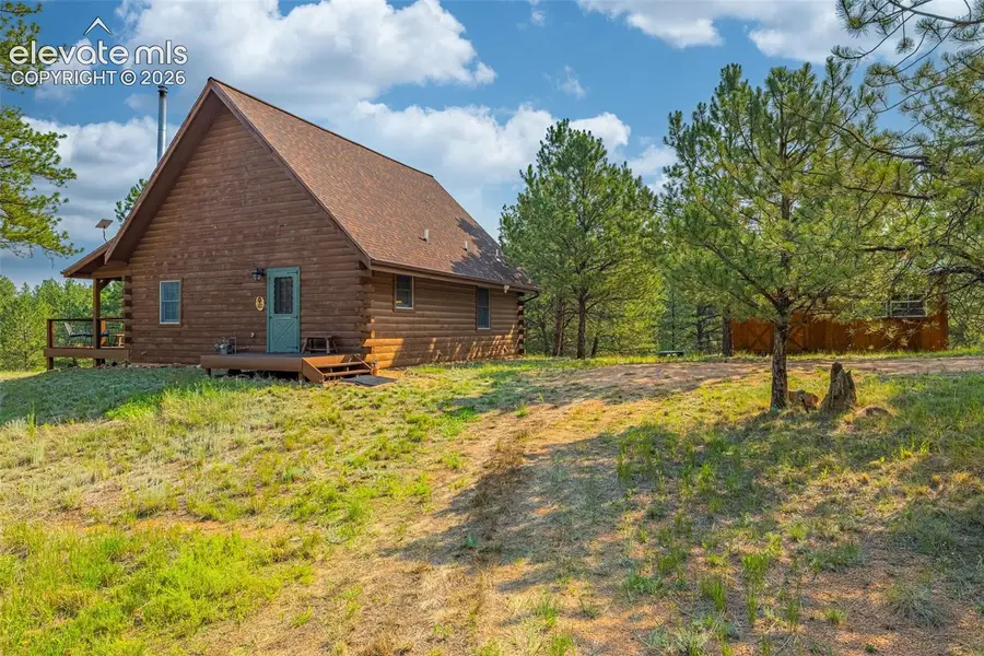 322 Phoebus Drive, Florissant, CO 80816 - #3