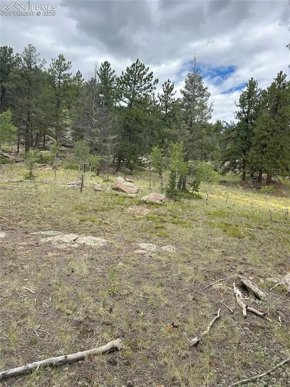 155 County Road 403, Florissant, CO 80816 - Image #2