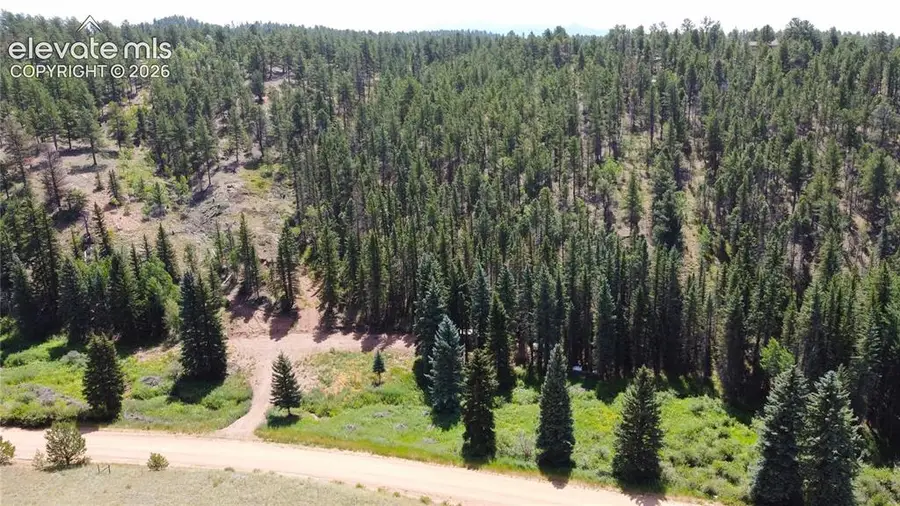 1570 Pathfinder Road, Florissant, CO 80816 - #3