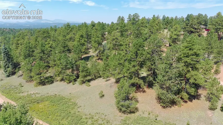 787 Spring Valley Lane, Florissant, CO 80816 - #2