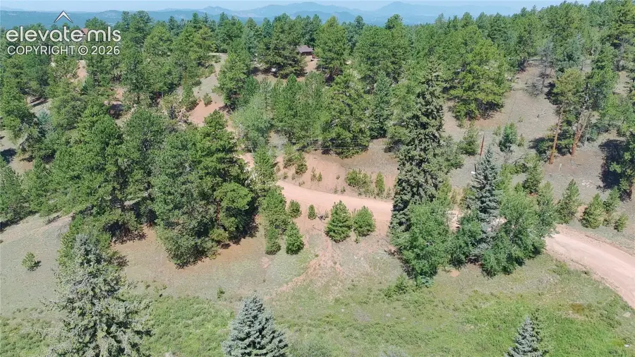 787 Spring Valley Lane, Florissant, CO 80816 - #3
