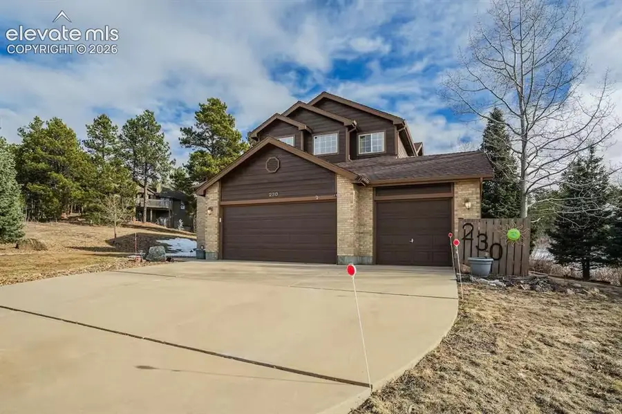 230 Wild Duck Lane, Monument, CO 80132 - #2