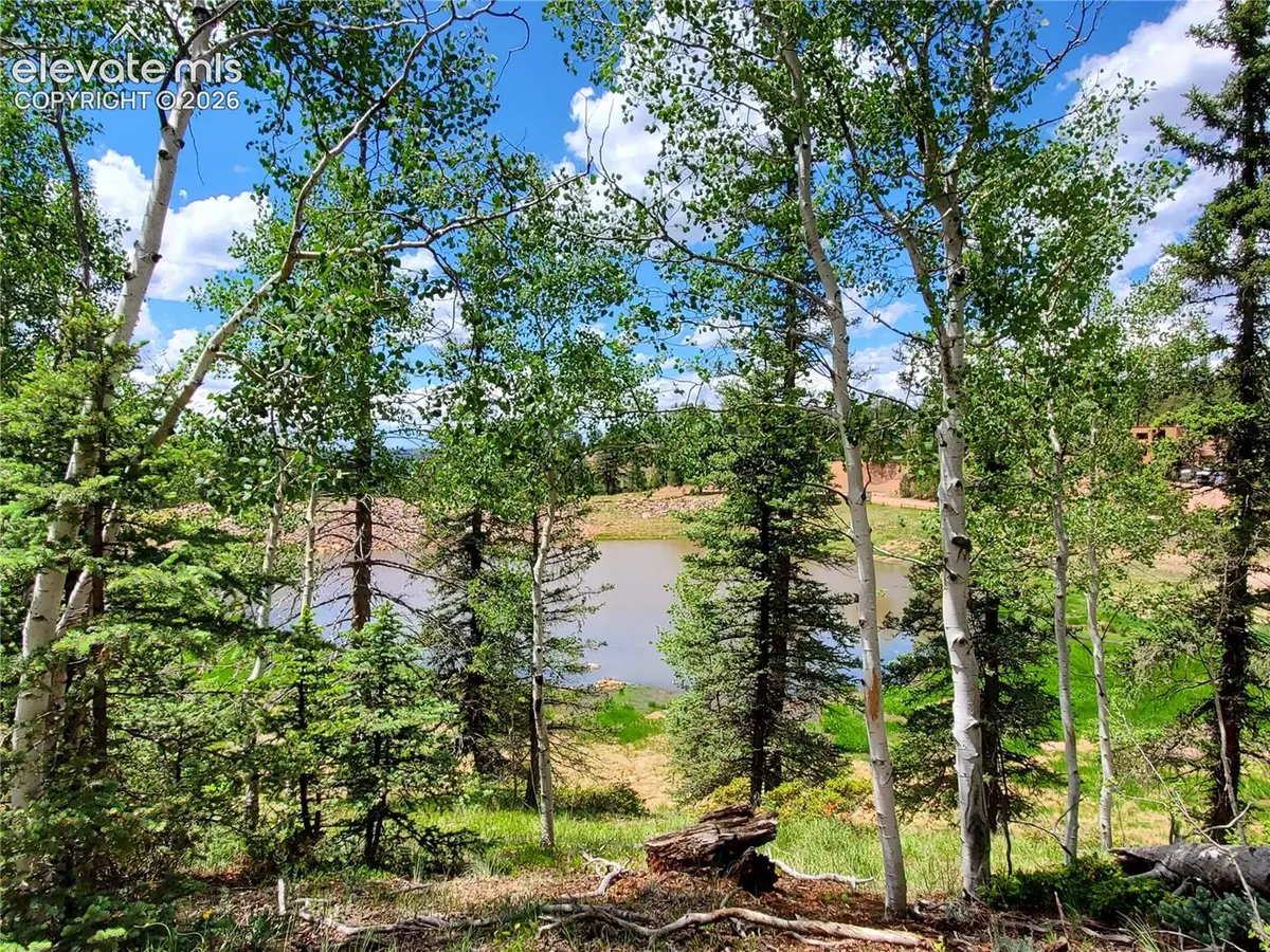 1076 Spring Valley Lane, Florissant, CO 80816 - #1