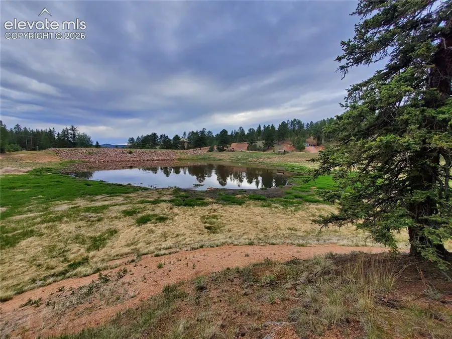 1076 Spring Valley Lane, Florissant, CO 80816 - #3