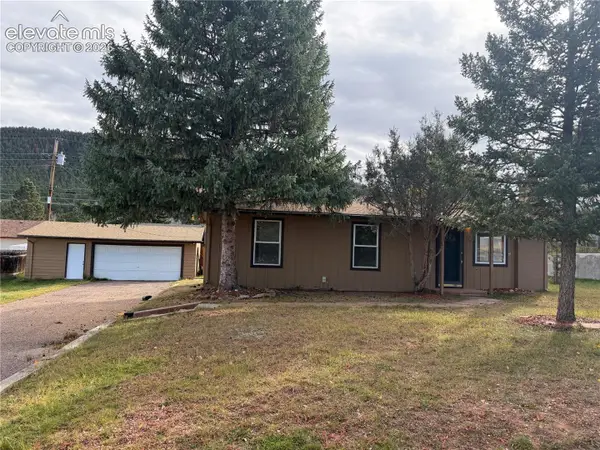 919 N Fullview Street, Woodland Park, CO 80863