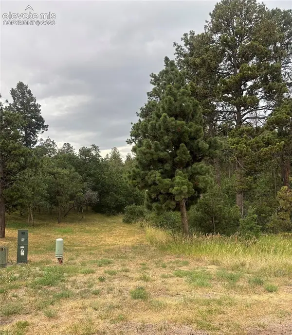 1455 Blueberry Hills Road, Monument, CO 80132