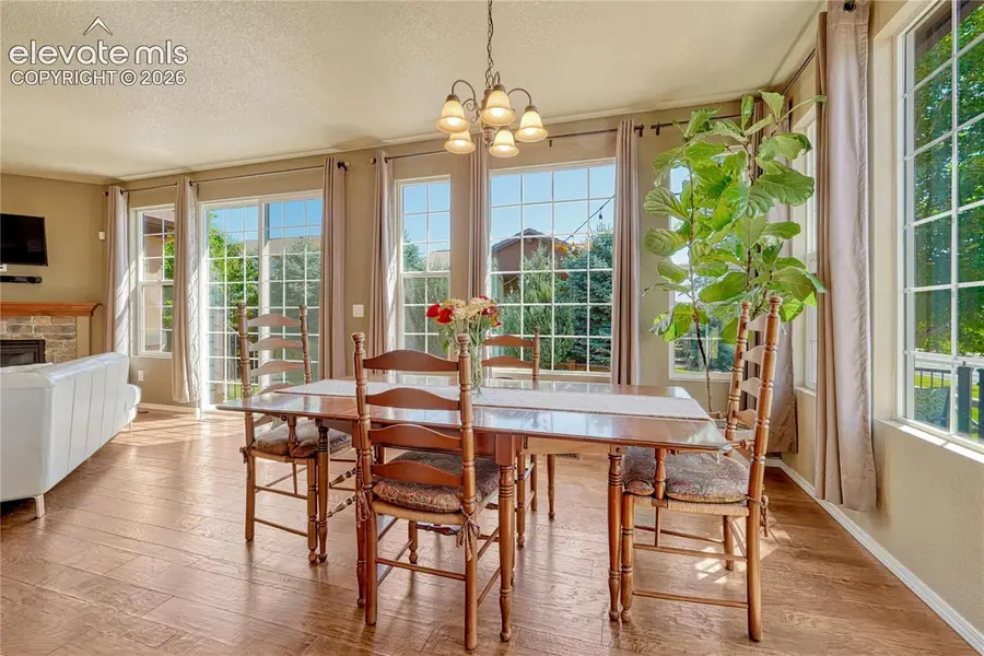 7163 Cottonwood Tree Drive, Colorado Springs, CO 80927 - #3