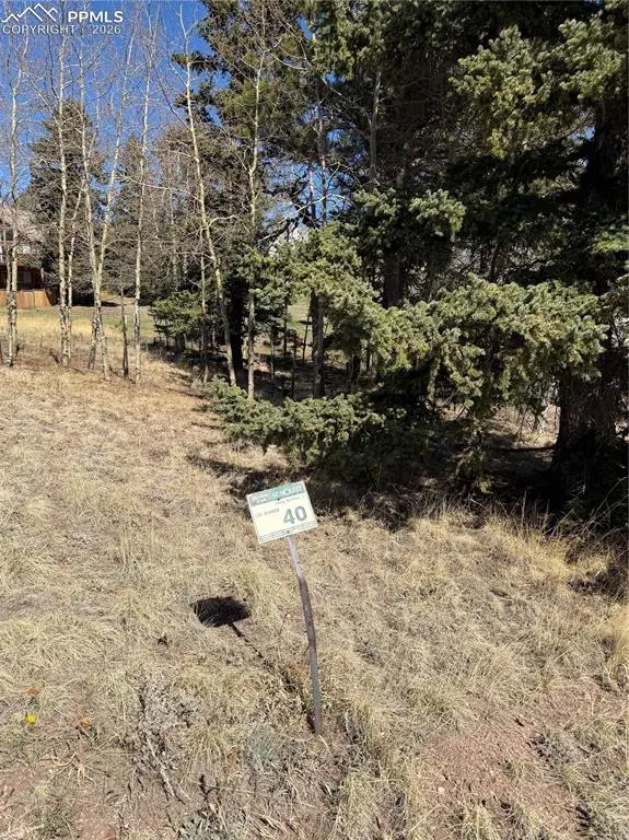 405 Meadow Park Drive, Divide, CO 80814