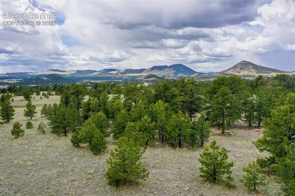 tbd Doe Valley Road, Guffey, CO 80820 - #1