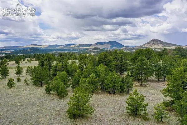 tbd Doe Valley Road, Guffey, CO 80820