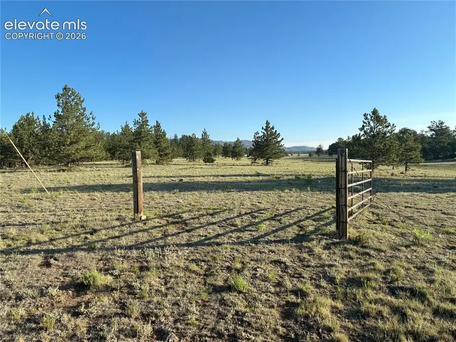 tbd Doe Valley Road, Guffey, CO 80820 - #3