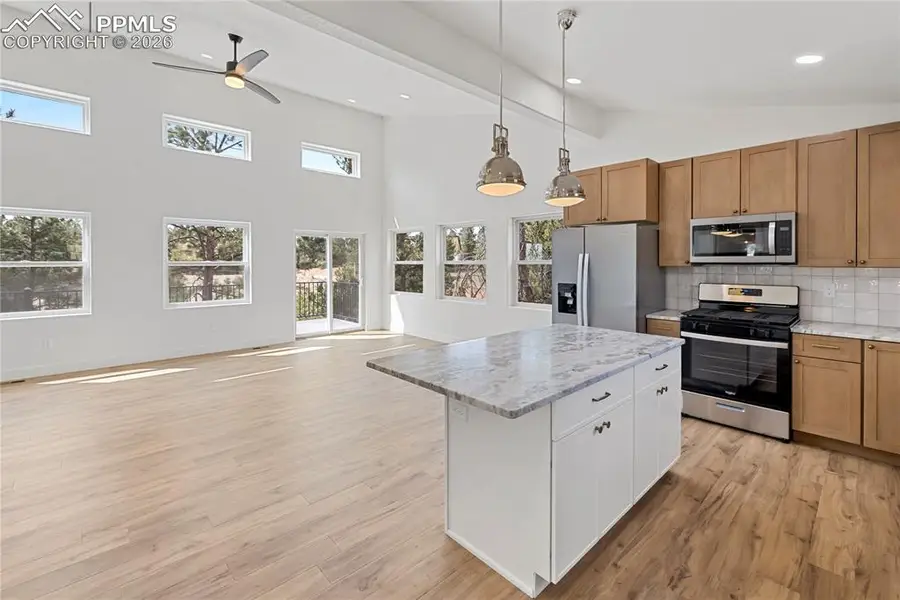 1328 N Mountain Estates Road, Florissant, CO 80816 - #2