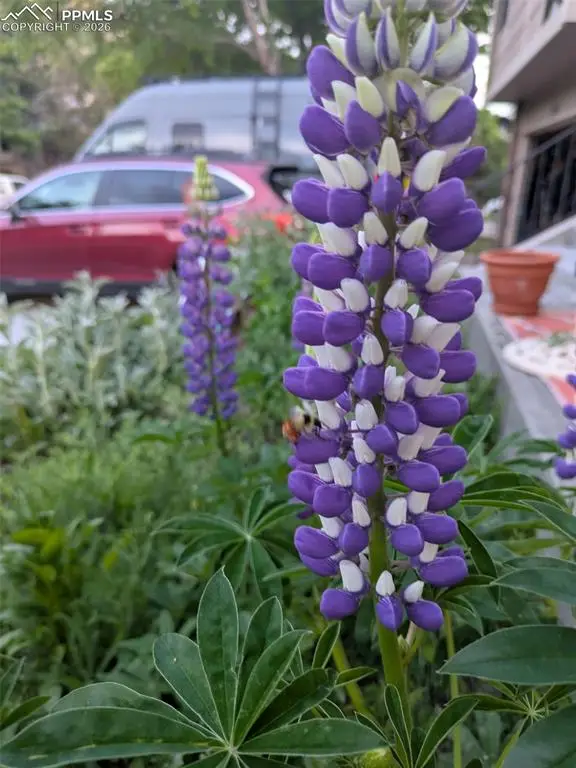 6255 Pemberton Way, Colorado Springs, CO 80919 - #3