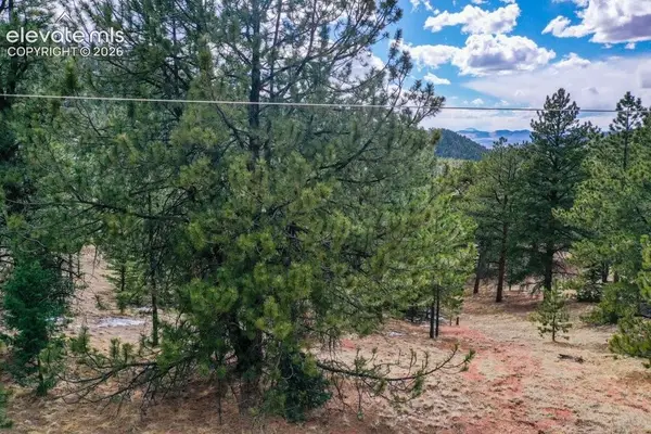 395 Wabash Terrace, Cripple Creek, CO 80813