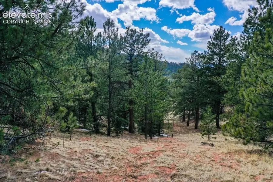 395 Wabash Terrace, Cripple Creek, CO 80813 - #2