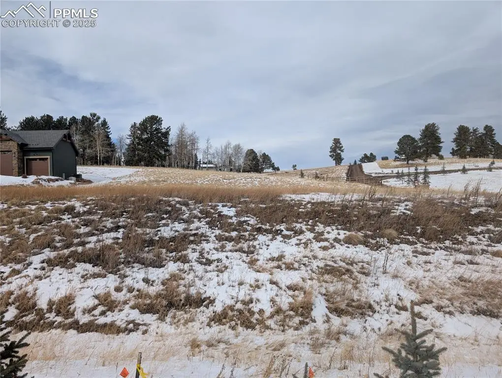 307 Pinaceae Heights, Divide, CO 80814 - Image #1