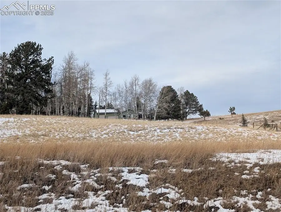307 Pinaceae Heights, Divide, CO 80814 - Image #2