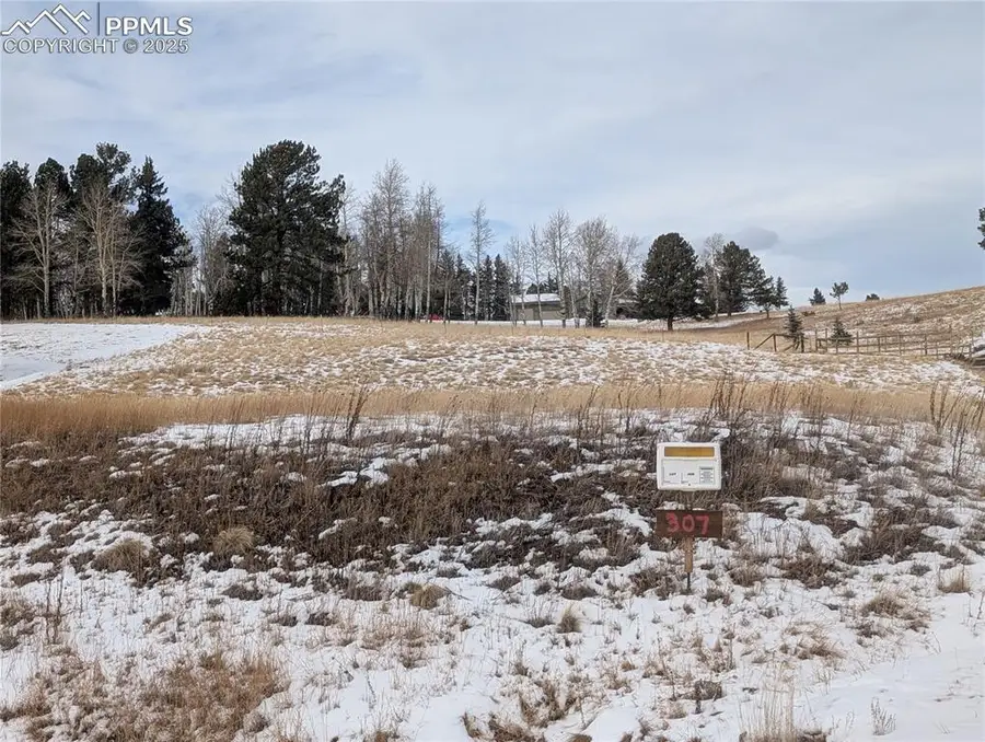 307 Pinaceae Heights, Divide, CO 80814 - Image #3
