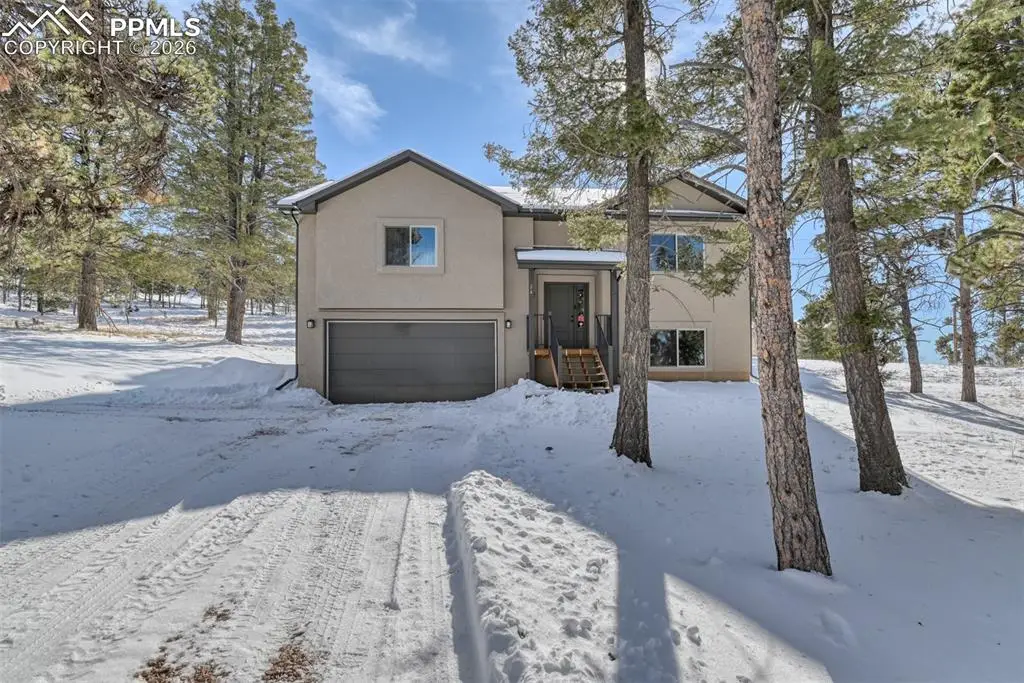 24 Big Horn Circle, Florissant, CO 80816 - #1