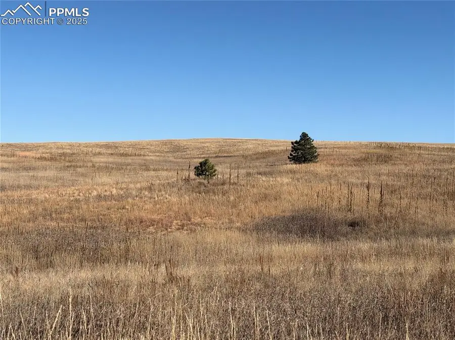 20155 E Thunder Road, Colorado Springs, CO 80908 - Image #2