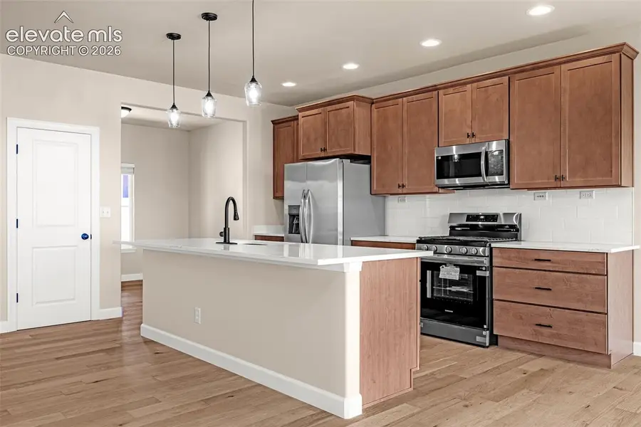 9960 San Luis Park Court, Colorado Springs, CO 80924 - #3