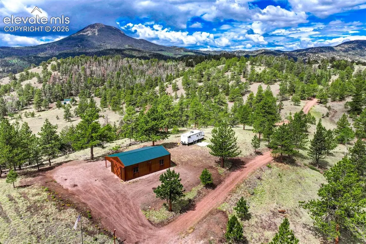 75 Deer Run Na, Guffey, CO 80820 - #1