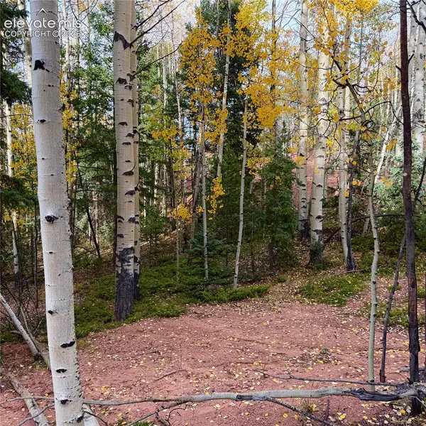 1341 Calcite Drive, Divide, CO 80814