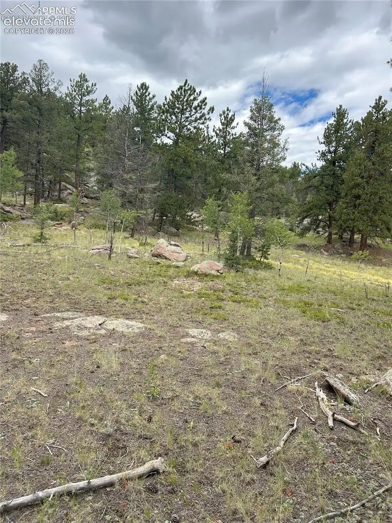 155 County Road 403, Florissant, CO 80816 - #2