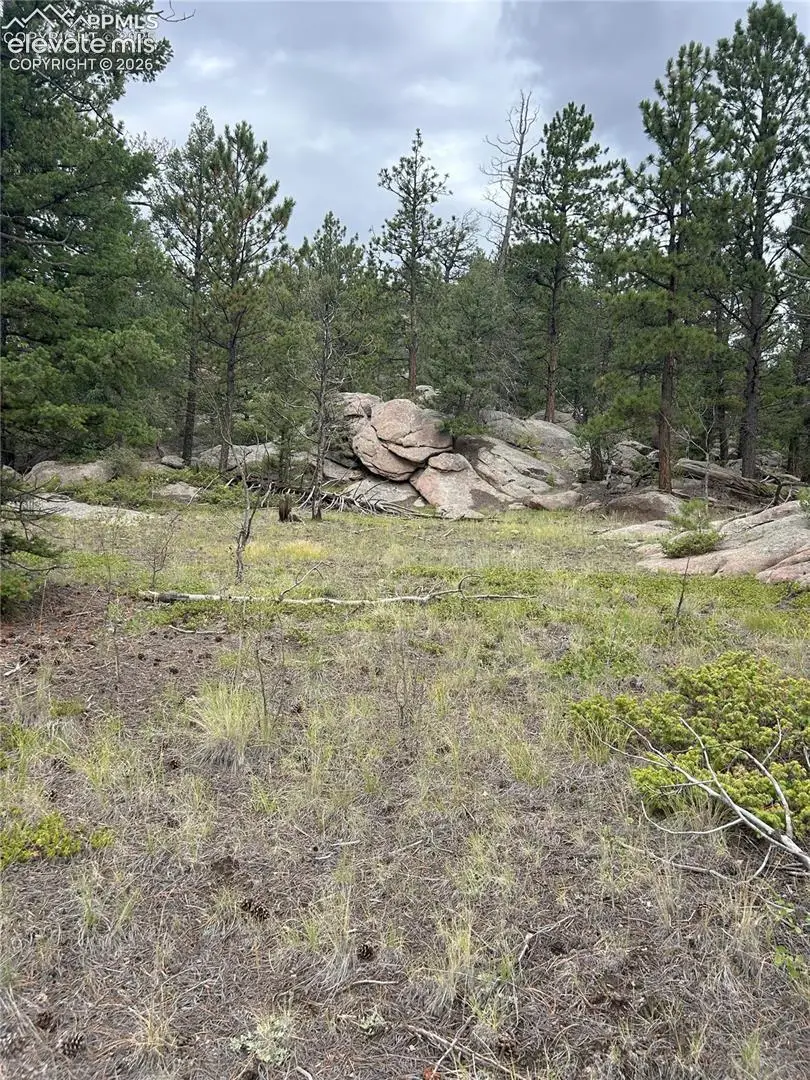 155 County Road 403, Florissant, CO 80816 - #3