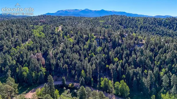 776 Spring Valley Lane, Florissant, CO 80816