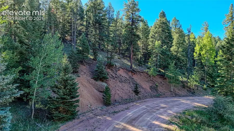 776 Spring Valley Lane, Florissant, CO 80816 - #3