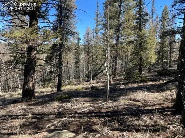 228 Alpine Drive, Florissant, CO 80816 - #2