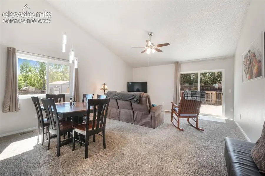 1643 S Canoe Creek Drive, Colorado Springs, CO 80906 - #3
