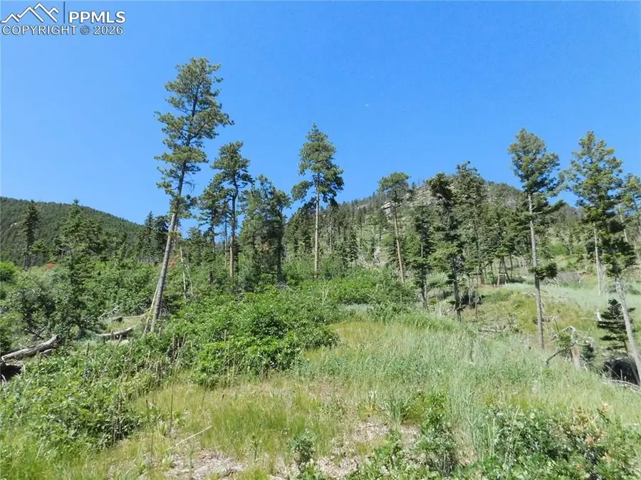 8249 Yuma Circle, Larkspur, CO 80118 - #2