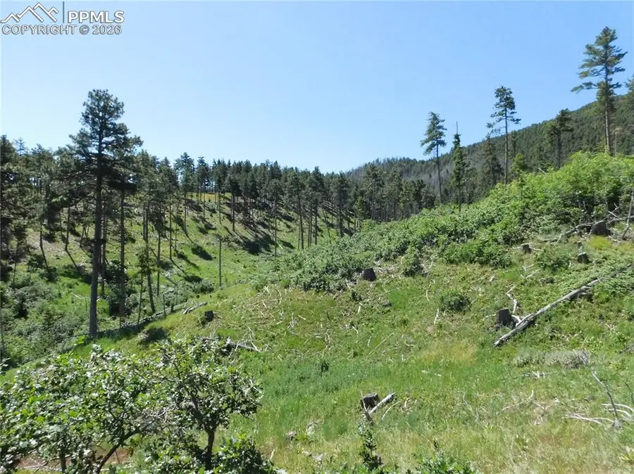 8249 Yuma Circle, Larkspur, CO 80118 - #3