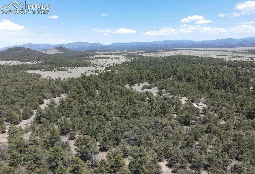 1713 7th Trail, Cotopaxi, CO 81223 - Image #1