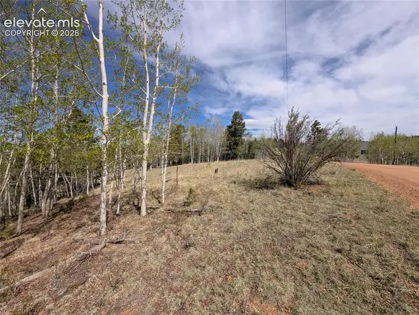 905 May Queen Drive, Cripple Creek, CO 80813
