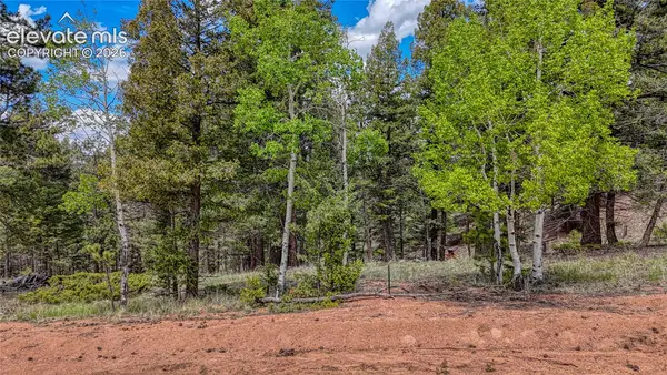26 N Eldorado Circle, Florissant, CO 80816