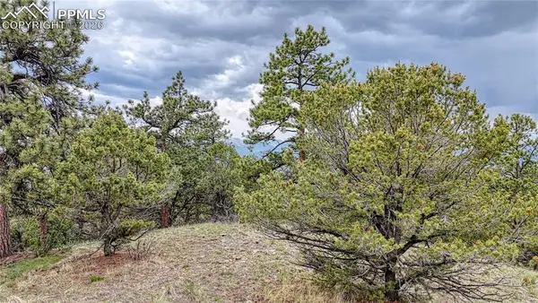 44 Honeysuckle Terrace, Westcliffe, CO 81252