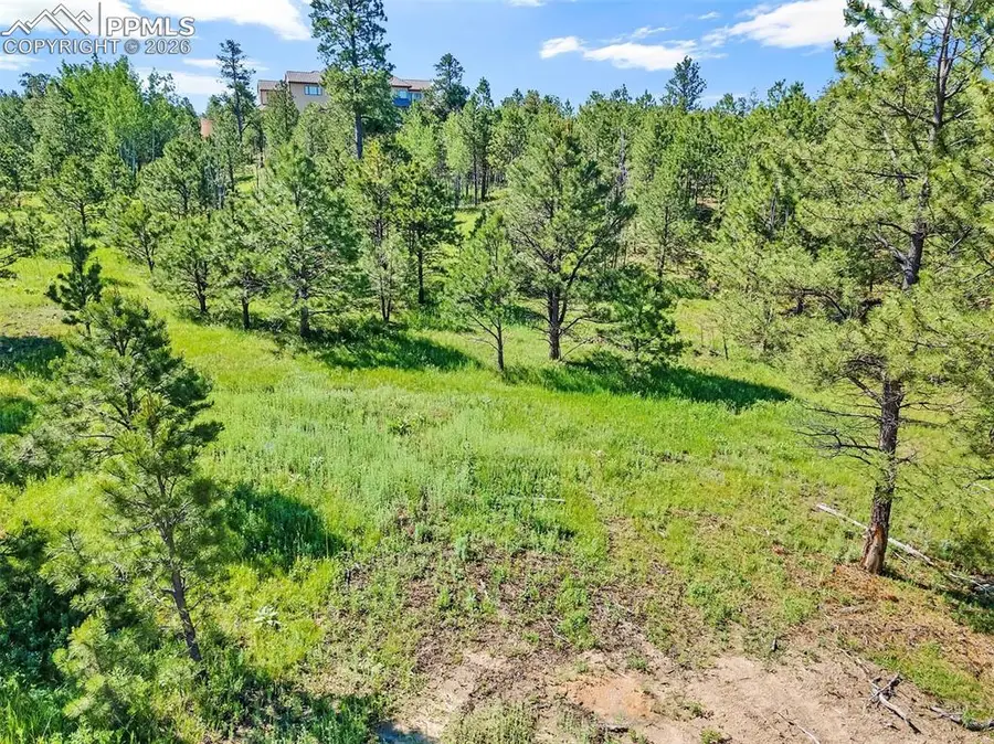 14431 Allen Ranch Road, Colorado Springs, CO 80908 - #2