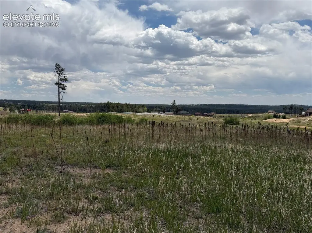 13810 Wildoak Drive, Black Forest, CO 80908 - #1