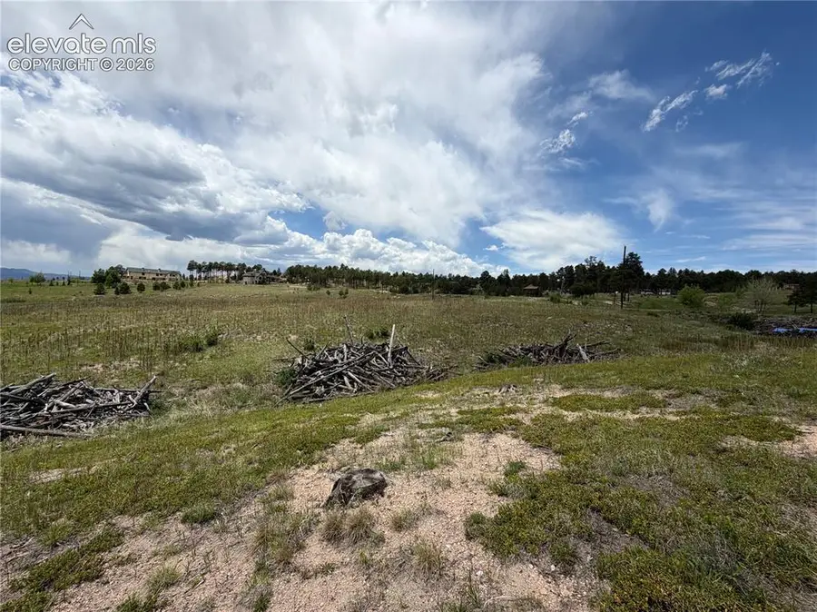 13810 Wildoak Drive, Black Forest, CO 80908 - #3