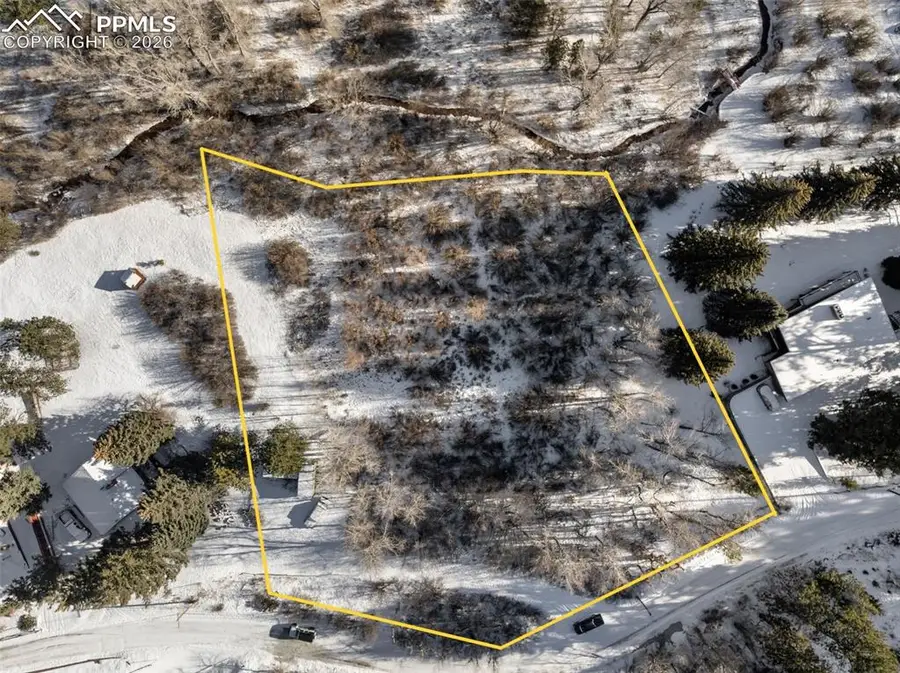 9660 Fountain Road, Cascade, CO 80809 - #2