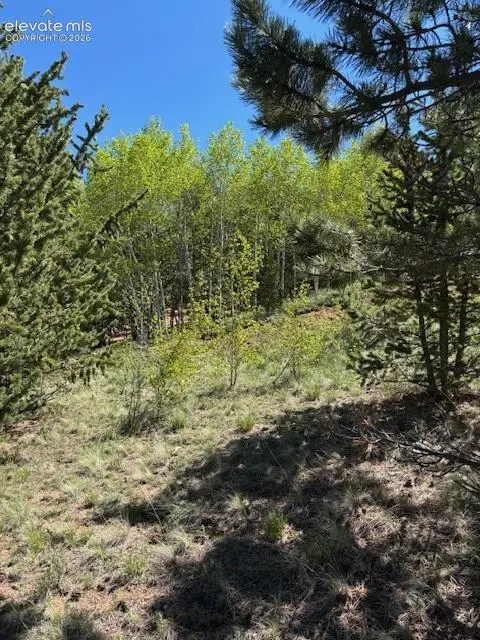 124 Yorktown Drive, Cripple Creek, CO 80813 - #2