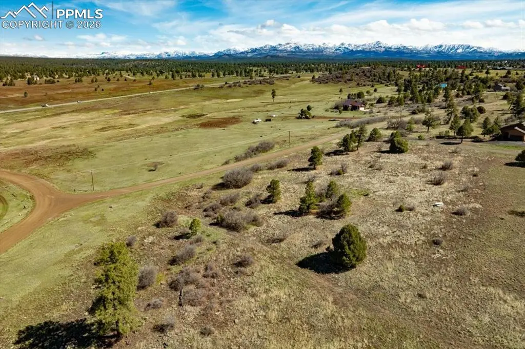 1234 Scenic Avenue, Pagosa Springs, CO 81147 - #1